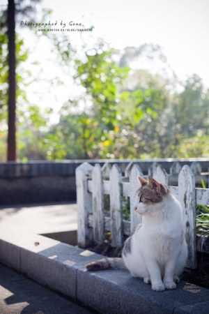 植物園裡拍動物