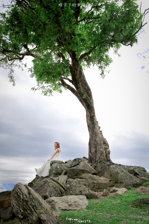 ** 晴空下的幸福 **