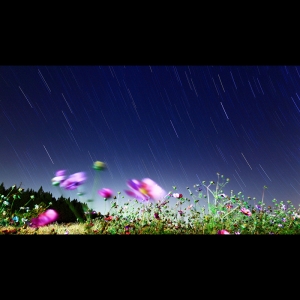 福壽山農場之旅