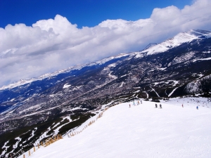 穿樹越林Dimond好 滿山遍野mogul飽 ~~美國科洲滑雪趣