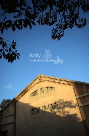 冬陽下的華山~~