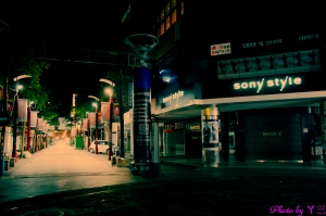 ▲孤寂の夜▼西門城