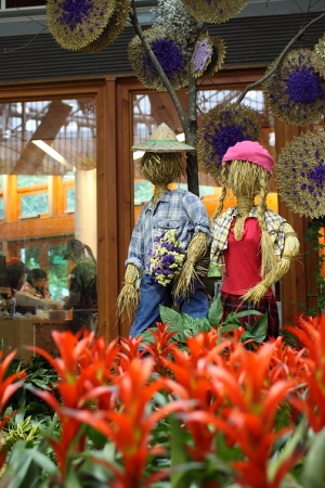 花博ㄧ日遊(內有夏威夷草裙女郎照)