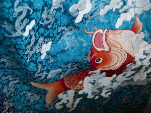 Hasselblad H5D-50 + HC 55-110/3.5-4.5