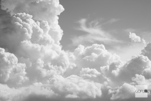 【2012-08-18】陽明山二子坪