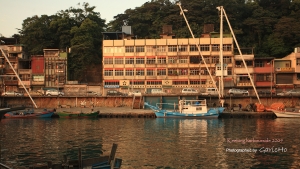 【蓋】基隆港、白鷺鷥、夕陽。