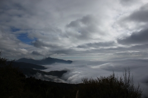 上阿里山碰巧的雲海