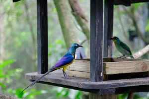 新竹綠世界一遊