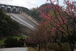 這一家系列-妹咕爸 趴趴走