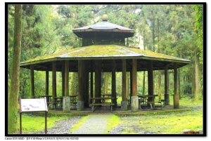 福山植物園(二)請多指教--謝謝--.
