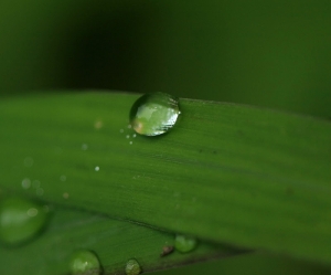 天氣太熱了 來點清涼的