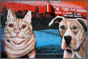 一顆我蠻喜歡的鏡頭 M 21/2.8 asph