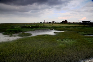 陰天的高美濕地(漸層減光鏡與黑卡練習)