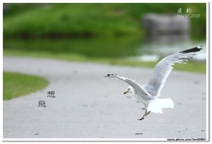想．飛（二）