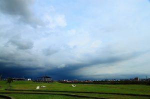 雲彩+打鳥殘念--17-55/小小白IS