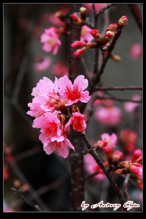 午休外拍有益身心…