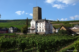 Germany 德國 - Vol 7.3 呂斯德海姆(Rudesheim) - 著名的葡萄酒產地