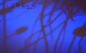 Lonely-Hikari