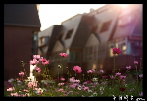 竹北白地-午後時光