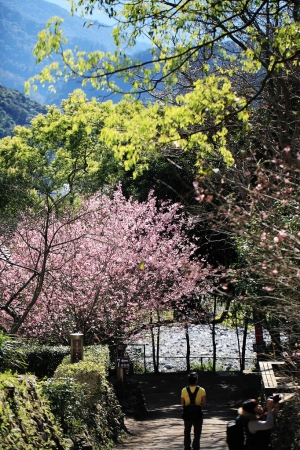 棲蘭山莊棲蘭山莊