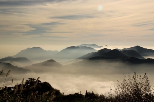 101年阿里山隙頂