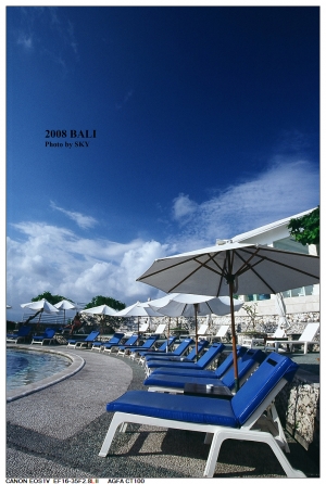 [1V]Bali-Blue point