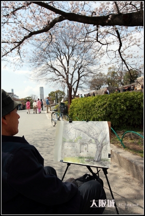 賞櫻瘋~大阪城