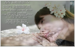 [喵喵爸-圖文創作]情人與情花