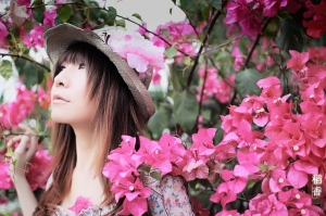 ***稻香***