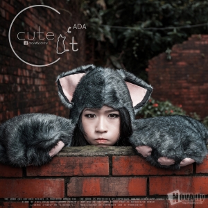 [ADA]Cute Cat