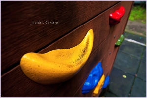 [考試] 天和公園之主題式拍攝 [已有解答]