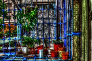 隨拍 HDR