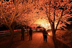 武陵風情 ~爆肝達人~