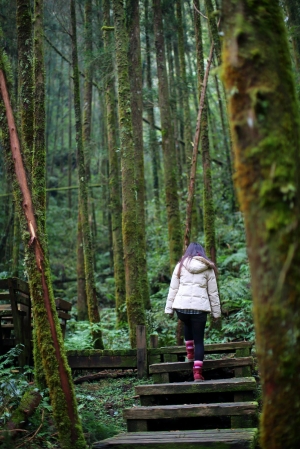 ◎明池風光-女王篇◎ ※已更新！！！女王審核完畢了！XD