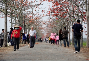 台南林初埤+嘉義仁義潭