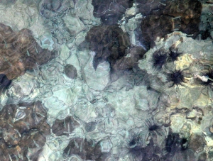 2010-Oct長灘印象