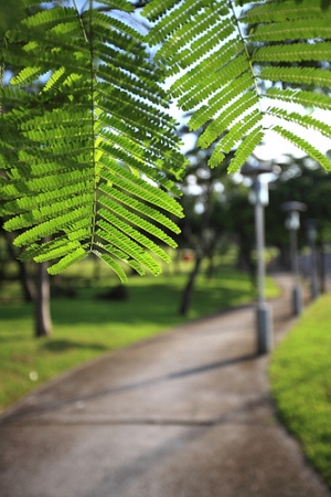 清晨台北藝術大學散步