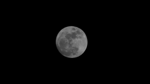 農曆 2月14日 小白II 打月亮