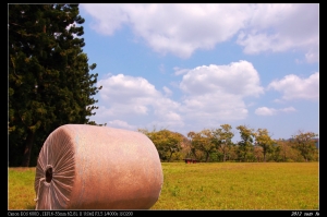 走馬瀨農場...旅拍