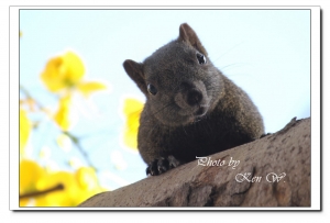 7D初體驗之你在拍我嗎???