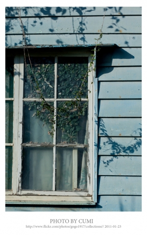 細細品嘗這世界