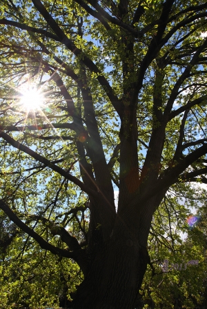 晴朗的午後 --- Howado