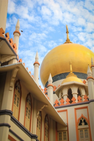 新手初拍~新加坡街頭拍