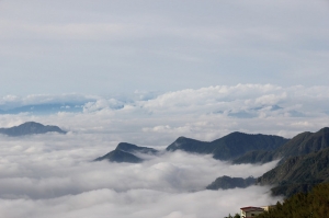 雲海