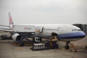 諾貝爾&毛毛 香港跨年第一天