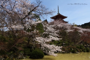花見幸福御守-四月的日本很粉紅 Day 2 清水寺