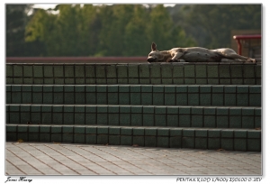 午後時光。20080325真理大學