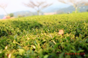 星月天空出遊記