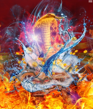 ::: Year of the Snake 蛇年行大運 by DV :::