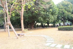 閒閒沒事趴趴走-衛武營公園&五塊厝公園